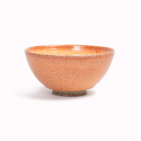 Spring Bowl | Speckled Stoneware Bowl | Colours