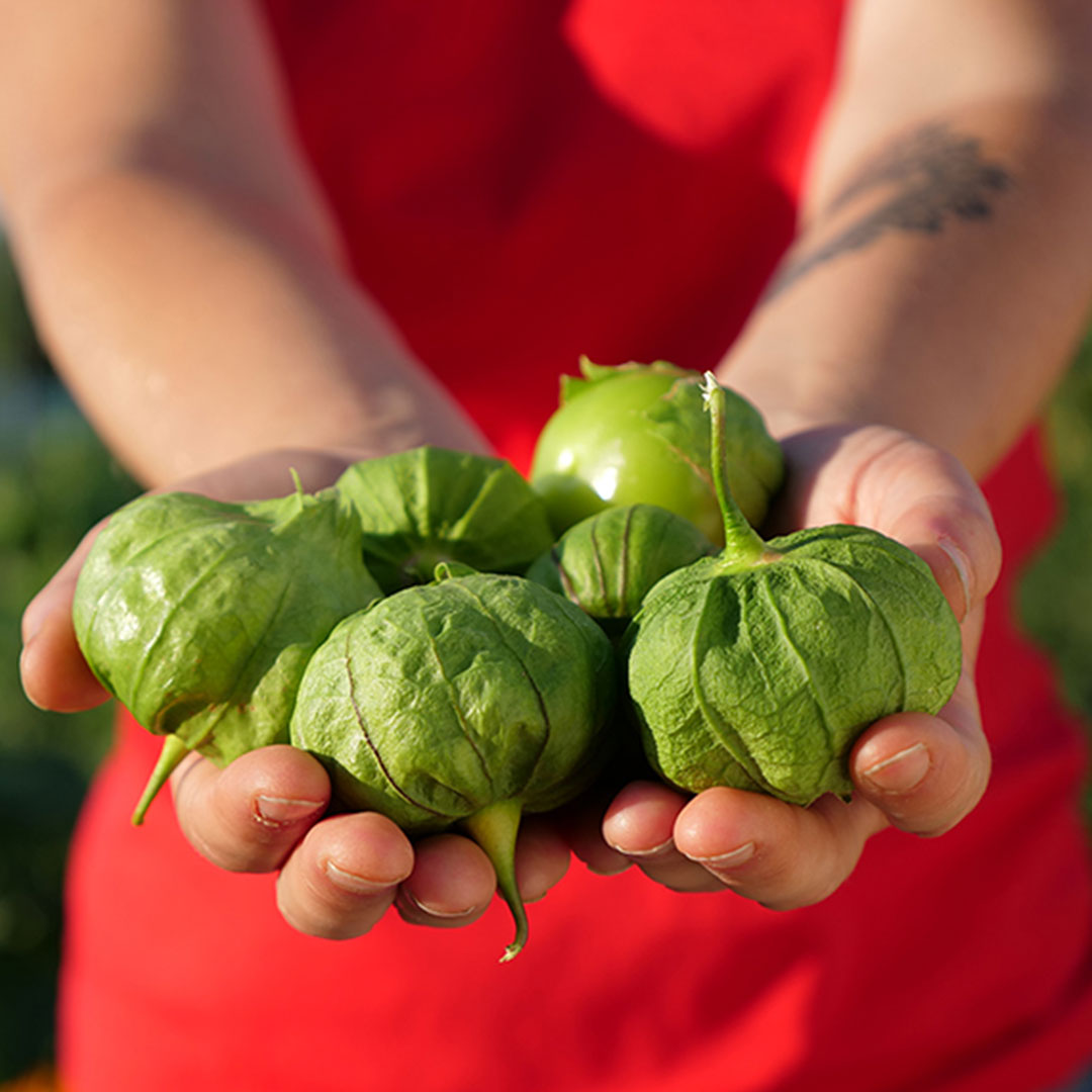 Salsa Marciana | Tomatillo & Chile Hot Sauce | 125ml