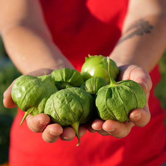 Salsa Marciana | Tomatillo & Chile Hot Sauce | 125ml