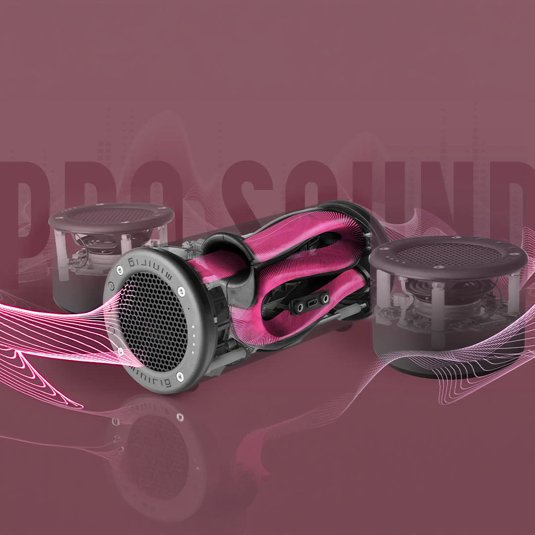 Minirig Sub | Portable Subwoofer | Brushed Ion