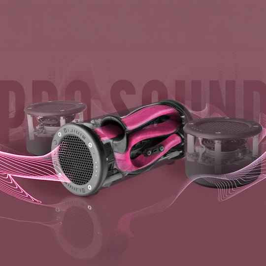 Minirig Sub | Portable Subwoofer | Brushed Ion