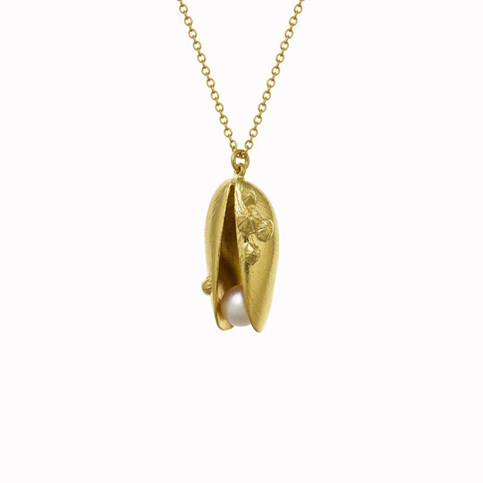 Mussel and Pearl Necklace features an open mussel shell pendant with a freshwater pearl delicately placed within the open shell
