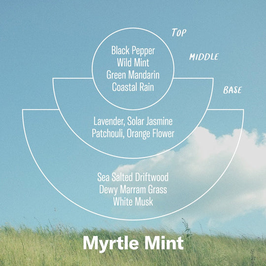 Flavour Notes - Myrtle Mint is for clarity and focus - a blend for creativity, mind opening conversations and new endeavours. 