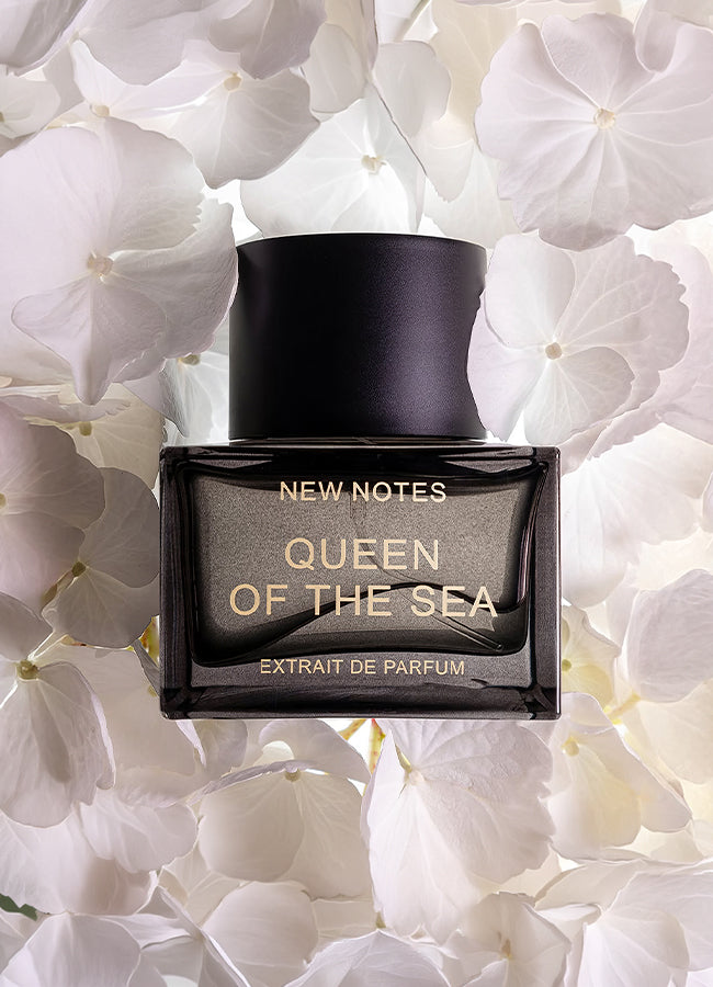 New Notes Fragrance | Modern Gourmand, Musk & Woody Perfume – USTUDIO