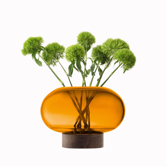 A flattened spherical mouth blown Amber glass vessel sits on a Walnut wood base. This is a beautiful and versatile piece, suitable for use as a vase, or as a candle lantern