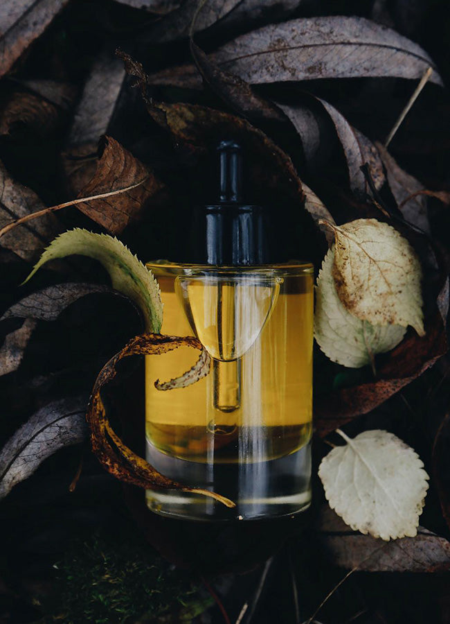 Oil from Herbowskui on autumn leaves