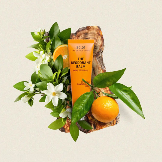 Orange Grove blends juicy mandarin and sweet orange with fresh petitgrain and soft neroli blossom for a clean, energising summery citrus scent.