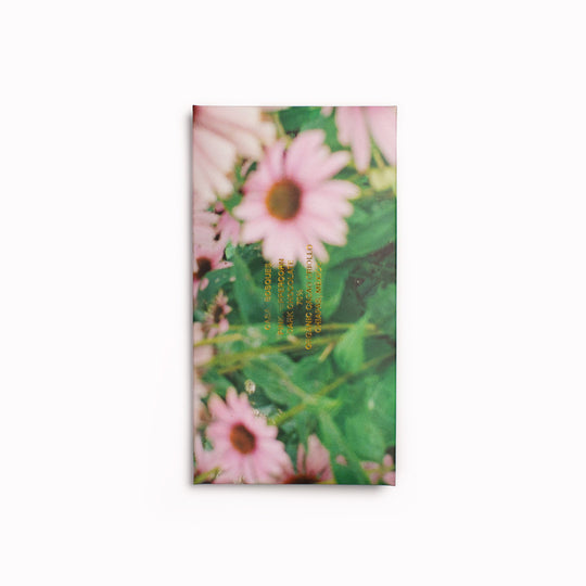 Pink Peppercorn | 70% Dark Chocolate Bar | 60g
