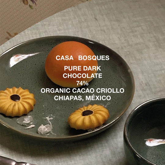 Organic Criollo Chiapas, Mexico | 74% Dark Chocolate Bar | 60g