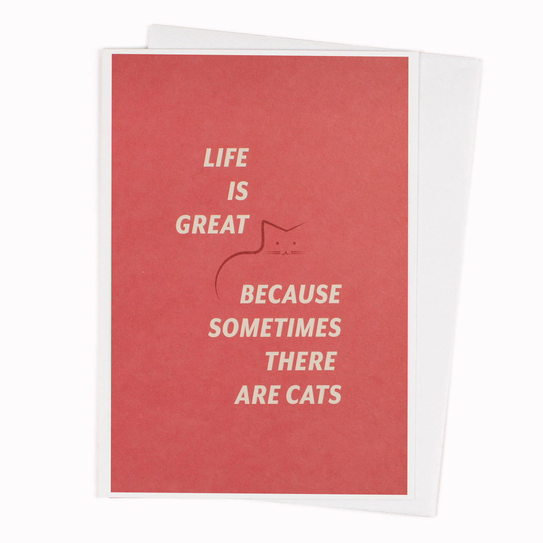 Dog lovers, look away now. 'Life is Great Because Sometimes There Are Cats'