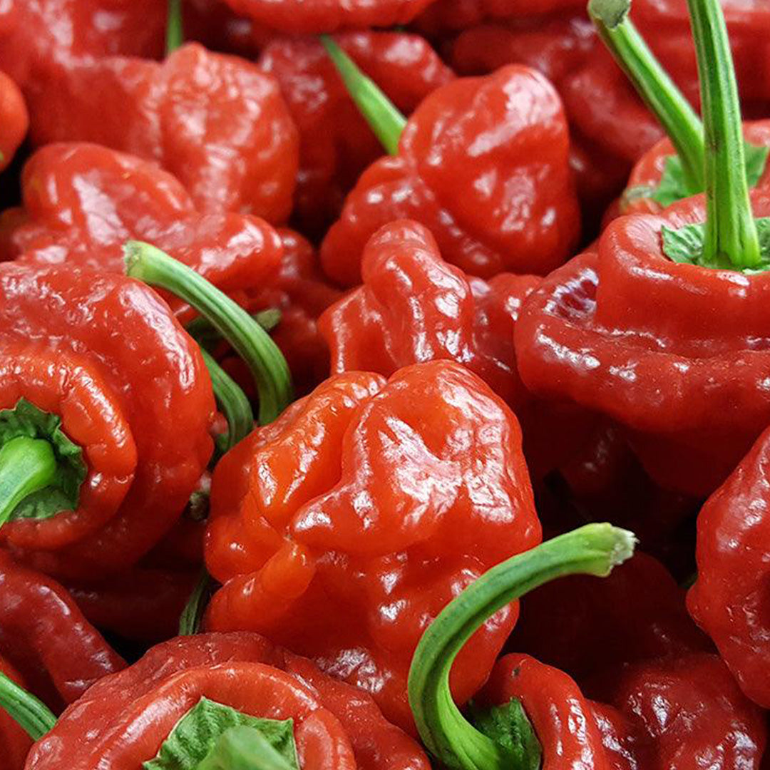  This fiery preserve is crafted from the finest Scotch Bonnet chillies, delivering a perfect balance of heat and sweetness. 