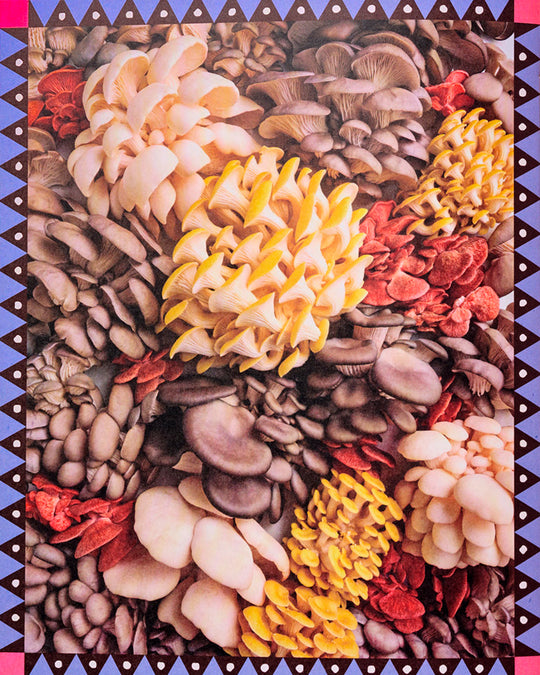 Part growing manual, part cookbook, The Mushroomery is an introduction to cultivating mushrooms at home, even when outdoor space is limited.