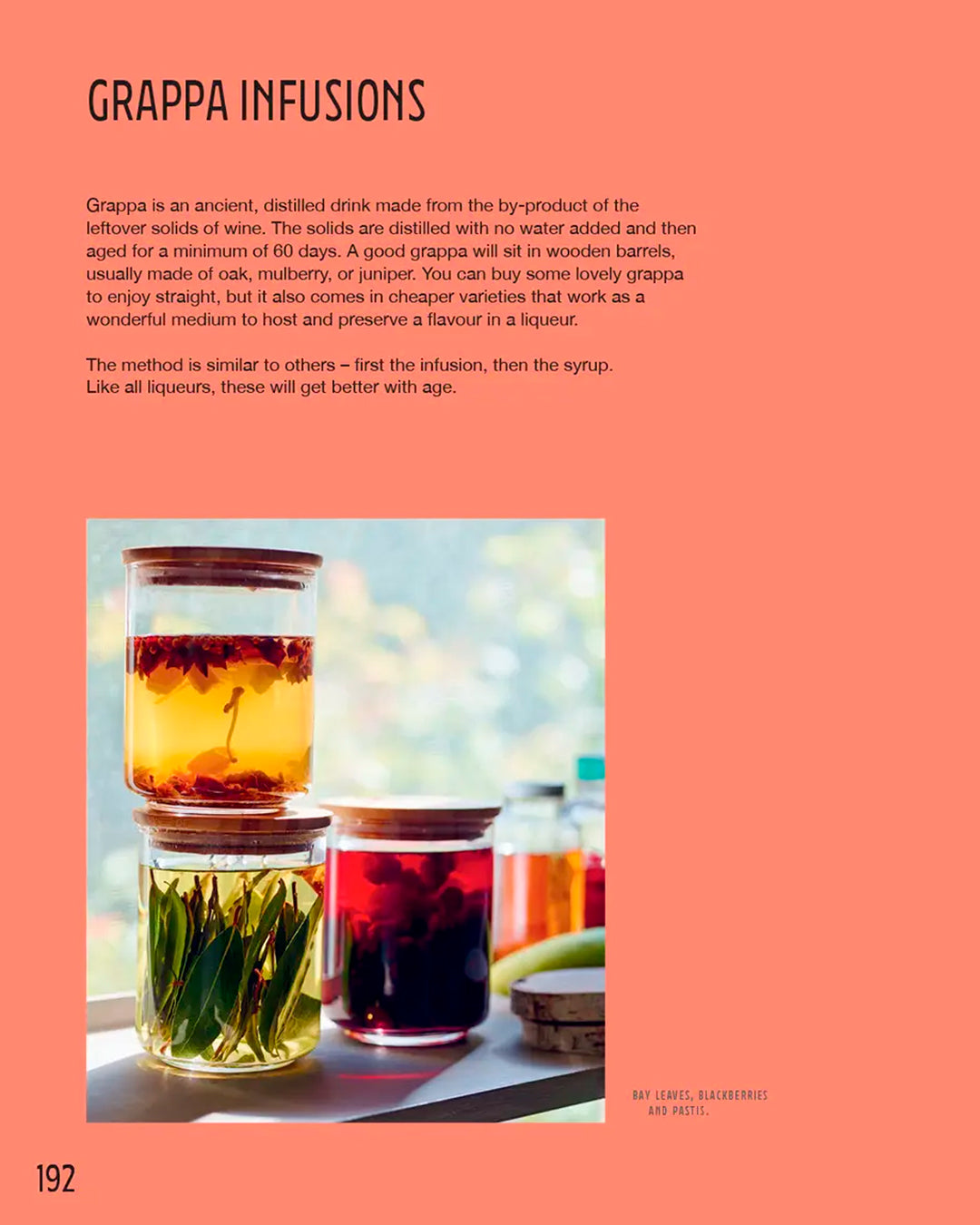 The New Old World of Small-Batch Brews, Ferments and Infusions by Sharon Flynn is a practical guide to making naturally fermented, brewed and infused drinks at home.