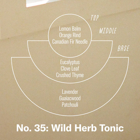 Scented Soy Candle | Wild Herb Tonic | Medium