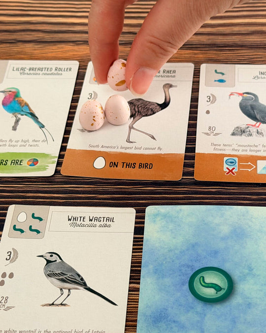 Wingspan Pocket takes the bird-collecting strategy of the much-loved original and reworks it into an accessible standalone game.