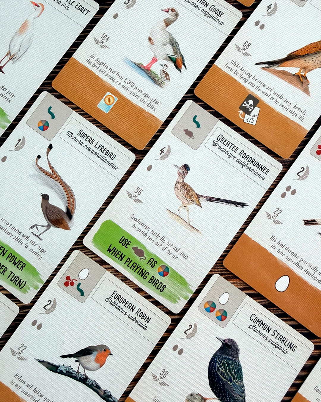 Wingspan Pocket takes the bird-collecting strategy of the much-loved original and reworks it into an accessible standalone game.