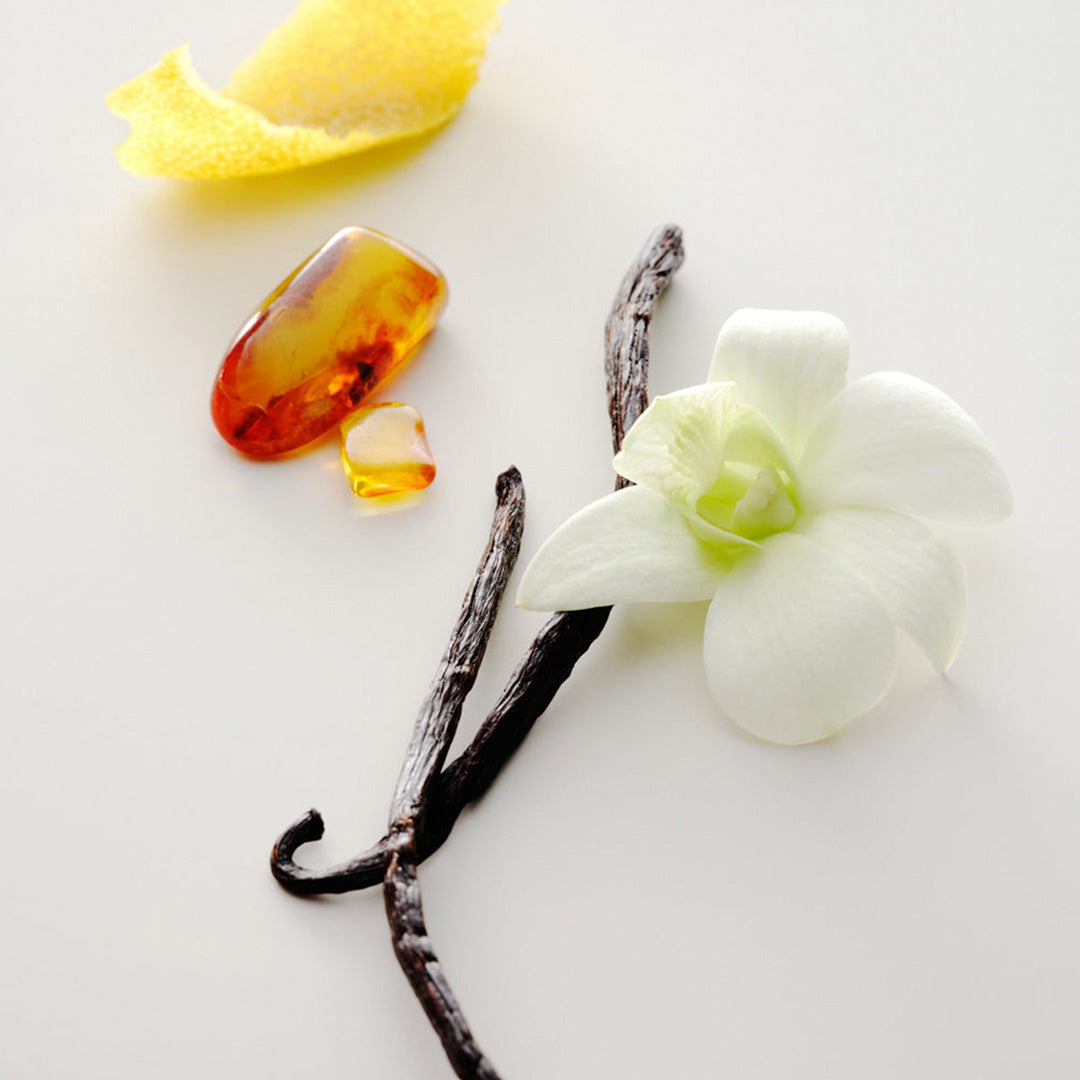 No.15 Vanille Infinie by Maison Louis Marie is a luxurious, warm and sweet scent for an uplifting and comforting ritual. 
