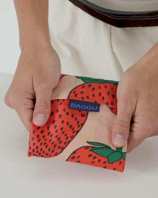 Baggu Standard Shopped Video