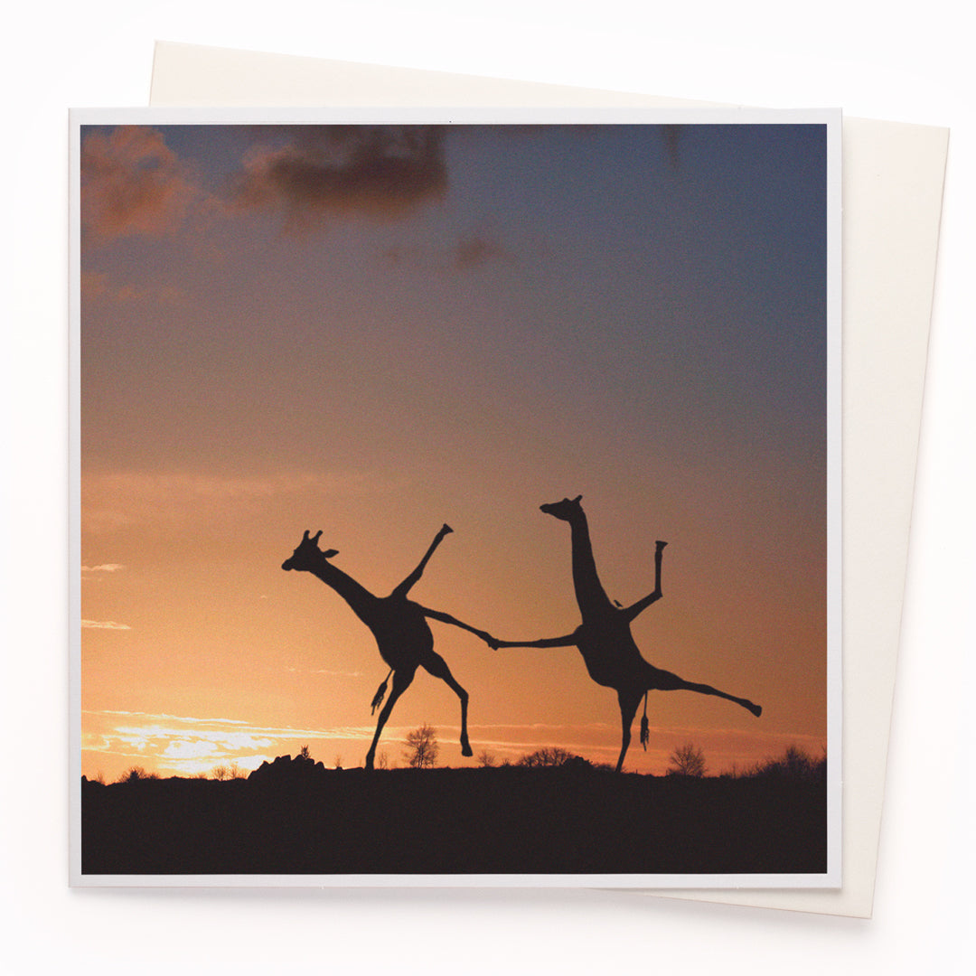 The 'Dancing Giraffe' card is part of the 1000 Words - Slice of life licensed photography collection with a focus on animal shenanigans and the ridiculous.