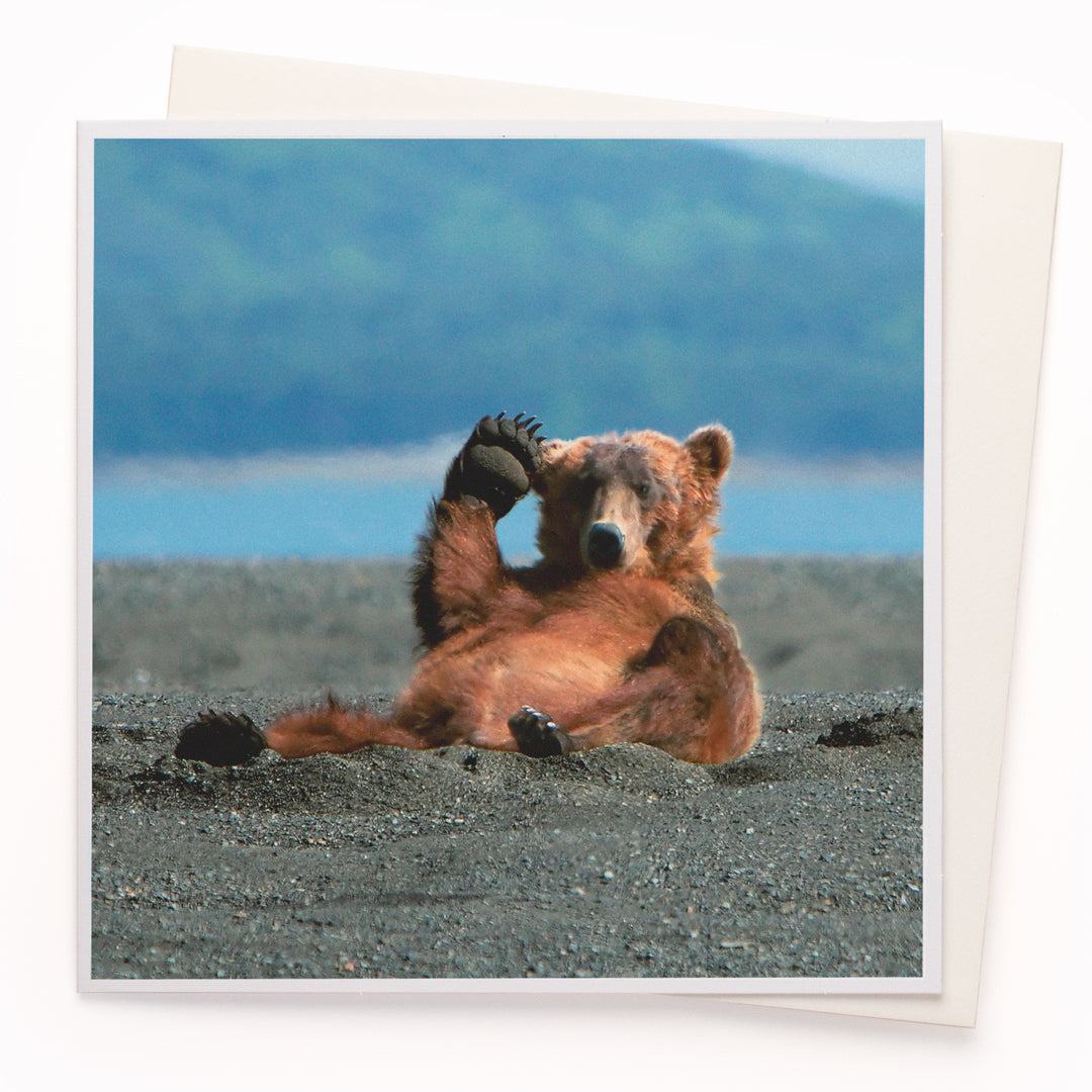 The 'Hellooo!' card is part of the 1000 Words - Slice of life licensed photography collection with a focus on animal shenanigans and the ridiculous.