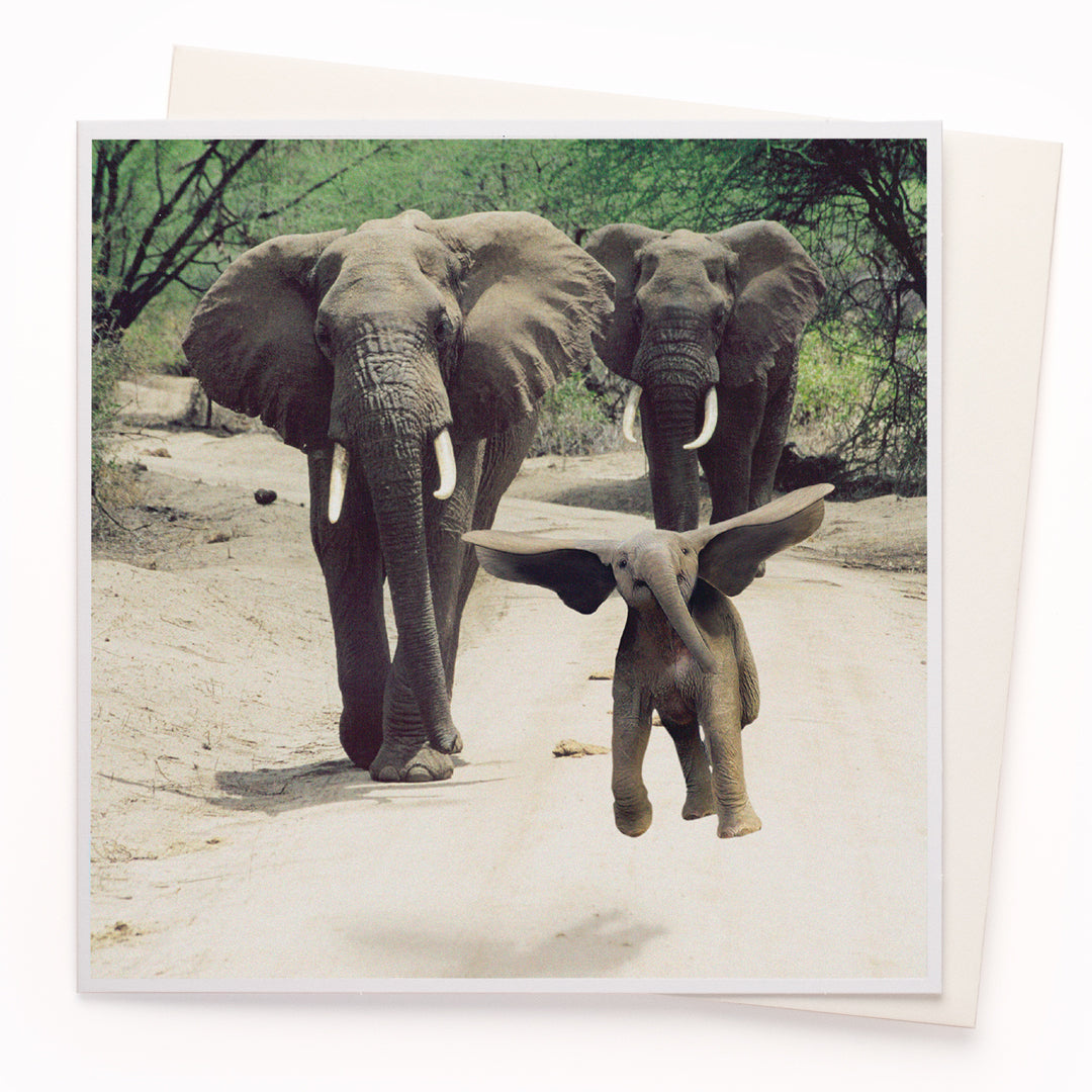 The 'Mama I Can Fly!' card is part of the 1000 Words - Slice of life licensed photography collection with a focus on animal shenanigans and the ridiculous.