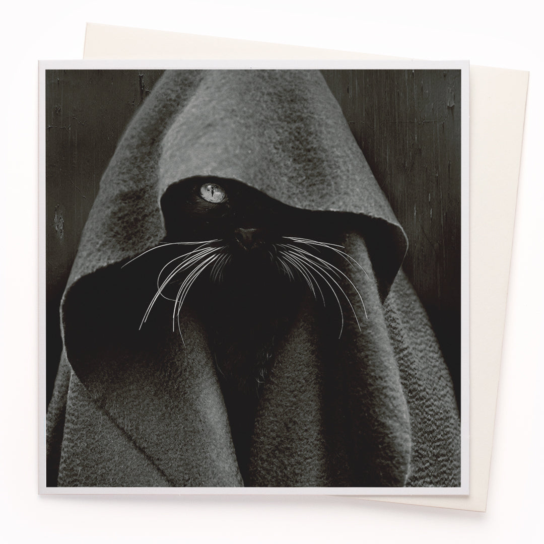 The 'Dark Cat' card is part of the 1000 Words - Slice of life licensed photography collection with a focus on animal shenanigans and the ridiculous.