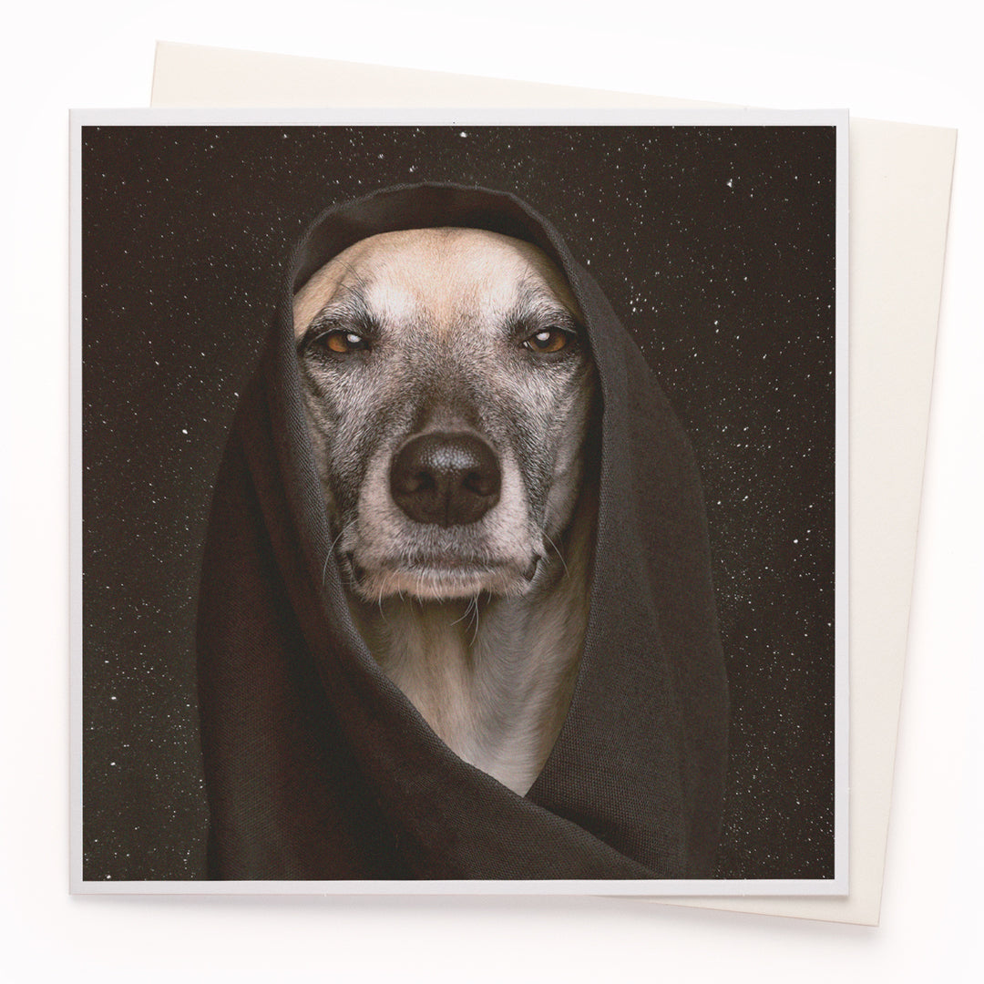 The 'Dog of the Force' card is part of the 1000 Words - Slice of life licensed photography collection with a focus on animal shenanigans and the ridiculous.