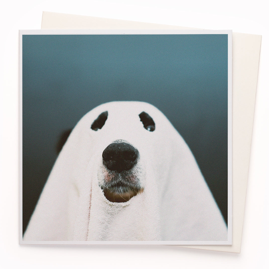 The 'Ghost Dog' card is part of the 1000 Words - Slice of life licensed photography collection with a focus on animal shenanigans and the ridiculous.