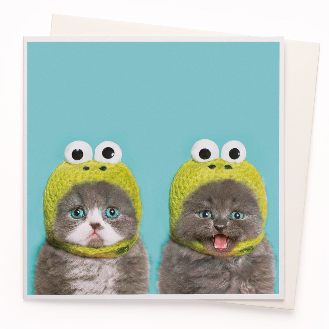 The 'Cat Frog' card is part of the 1000 Words - Slice of life licensed photography collection with a focus on animal shenanigans and the ridiculous.