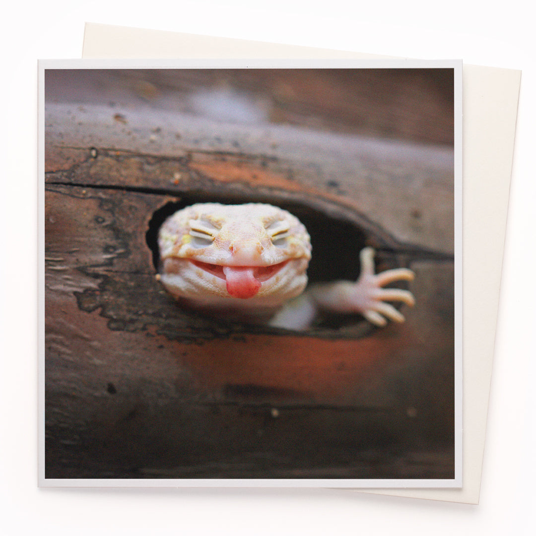 The 'Josh the Lizard' card is part of the 1000 Words - Slice of life licensed photography collection with a focus on animal shenanigans and the ridiculous.