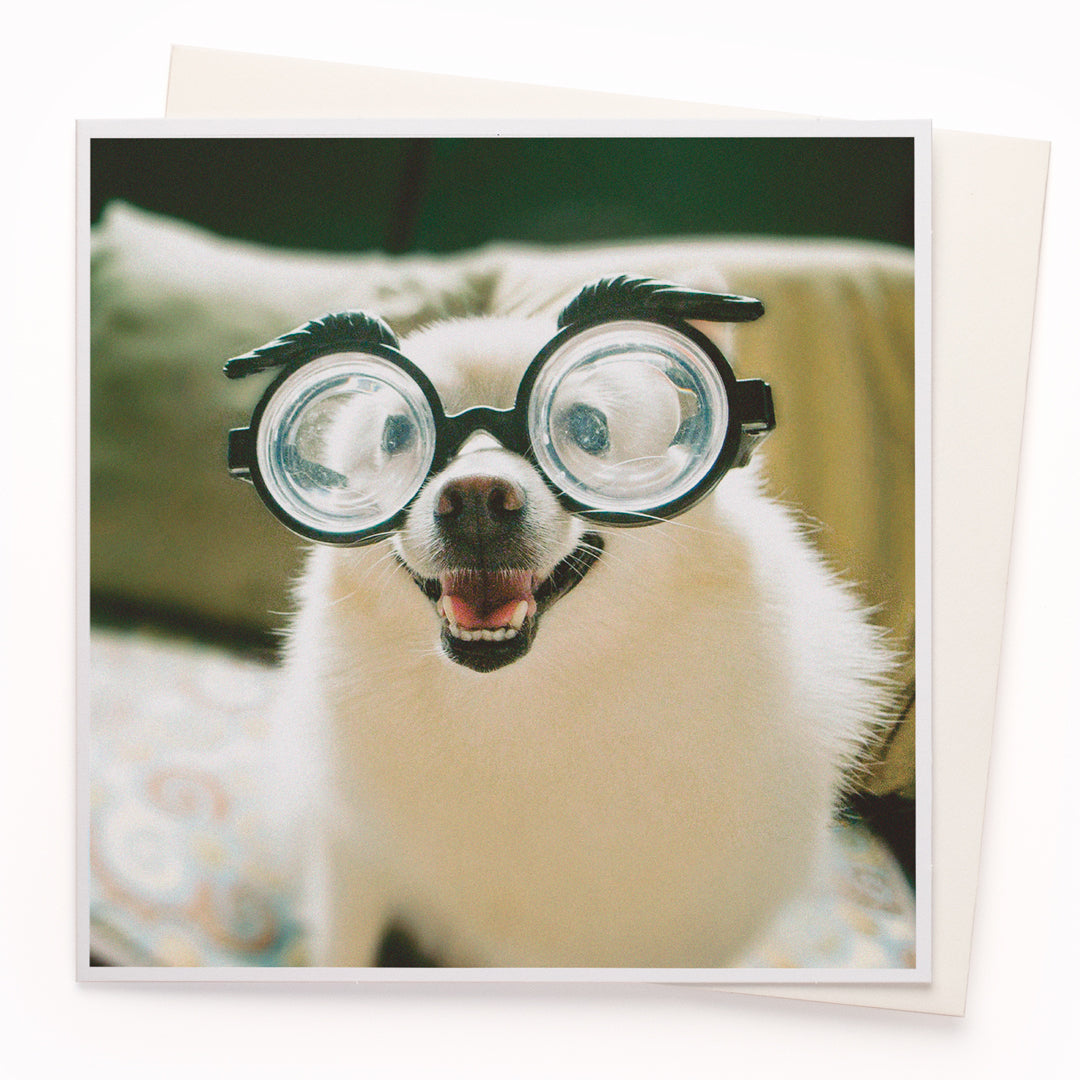 The 'Dog with Glasses' card is part of the 1000 Words - Slice of life licensed photography collection with a focus on animal shenanigans and the ridiculous.