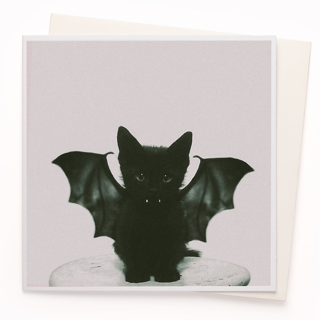 The 'Bat Kitten' card is part of the 1000 Words - Slice of life licensed photography collection with a focus on animal shenanigans and the ridiculous.