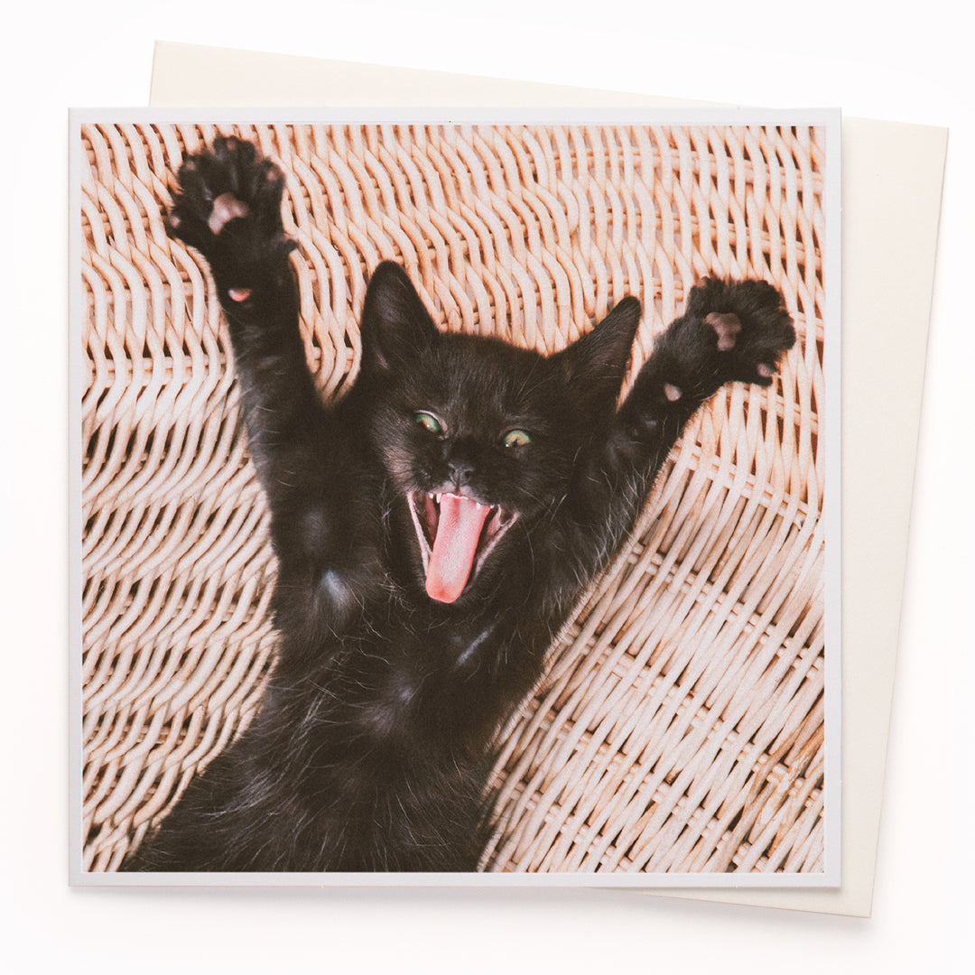 The 'Excited Cat' card is part of the 1000 Words - Slice of life licensed photography collection with a focus on animal shenanigans and the ridiculous.