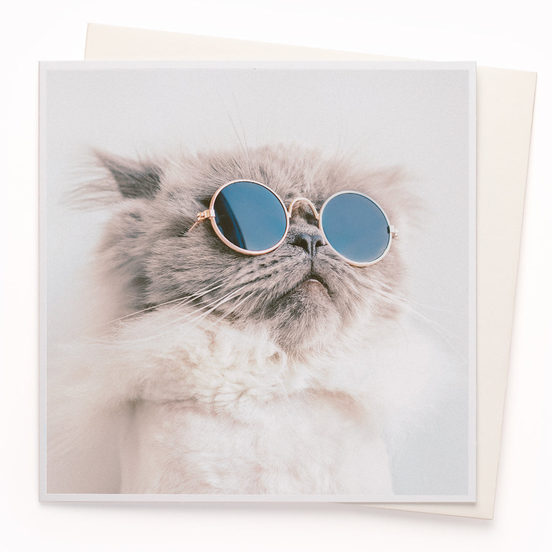 The 'Fabulous, Darling' card is part of the 1000 Words - Slice of life licensed photography collection with a focus on animal shenanigans and the ridiculous.
