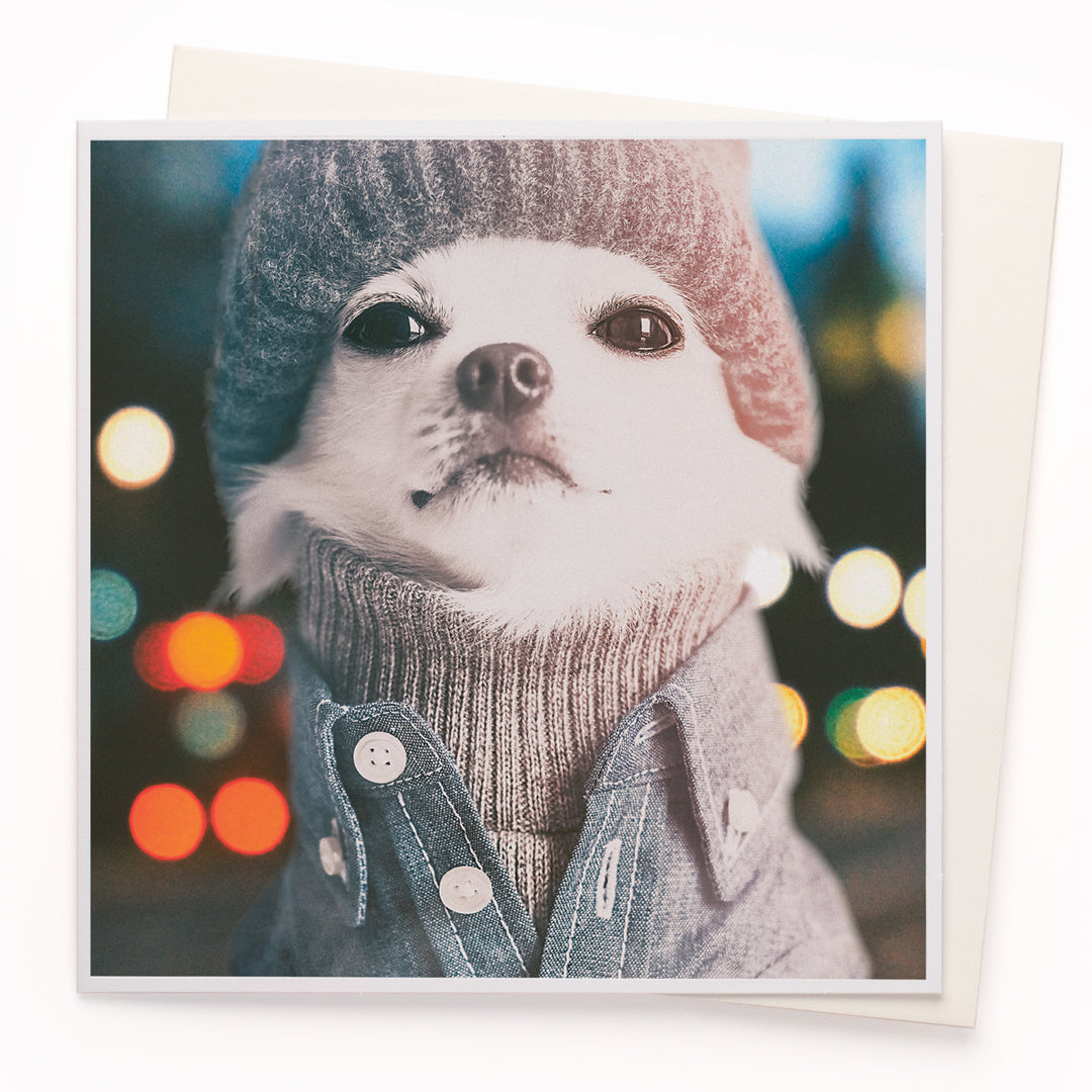 A mainstay of the USTUDIO collection, 1000 Words is a creative and humorous photographic greeting card range that is also our most decorated range. It has now won three Henries (the 'Oscars' of the greeting card industry... yes there really is such a thing!)
