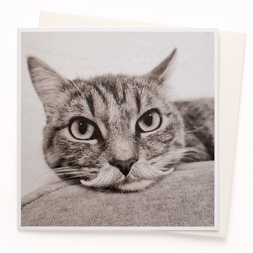 The 'Mr Moustache' card is part of the 1000 Words - Slice of life licensed photography collection with a focus on animal shenanigans and the ridiculous.