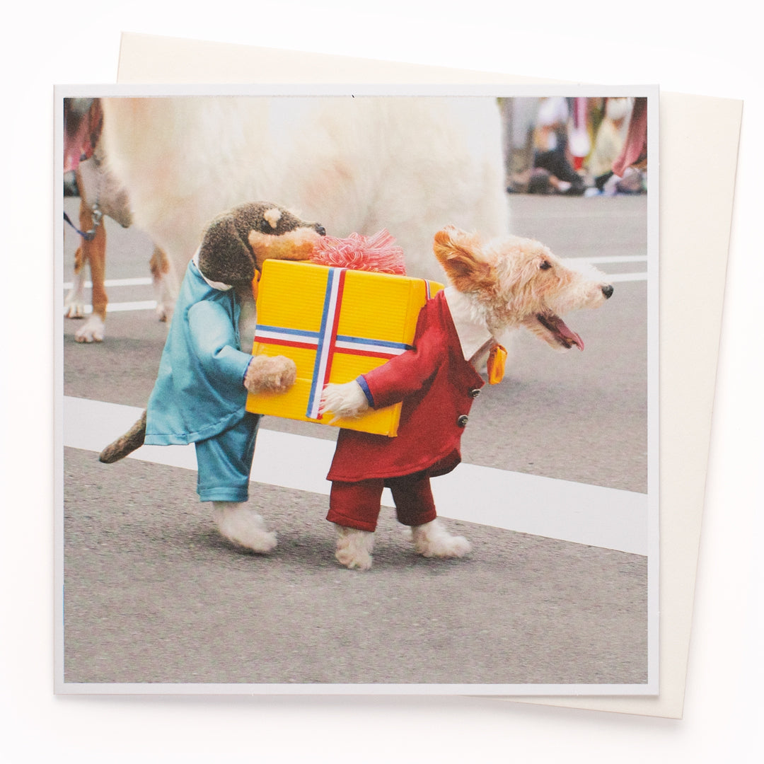 The 'Doggo Delivery' card is part of the 1000 Words - Slice of life licensed photography collection with a focus on animal shenanigans and the ridiculous.