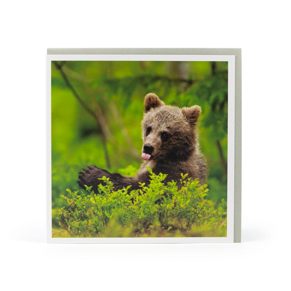 The 'Bear Cub Waving' card is part of the 1000 Words - Slice of life licensed photography collection with a focus on animal shenanigans and the ridiculous.