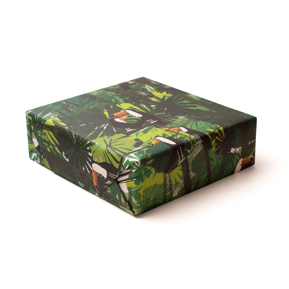 Toucan | Illustrative Gift Wrap Sheet