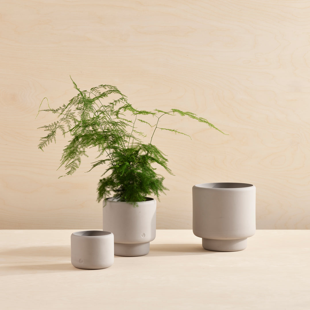 Botany Porcelain Planter | Grey | D. 11.5cm