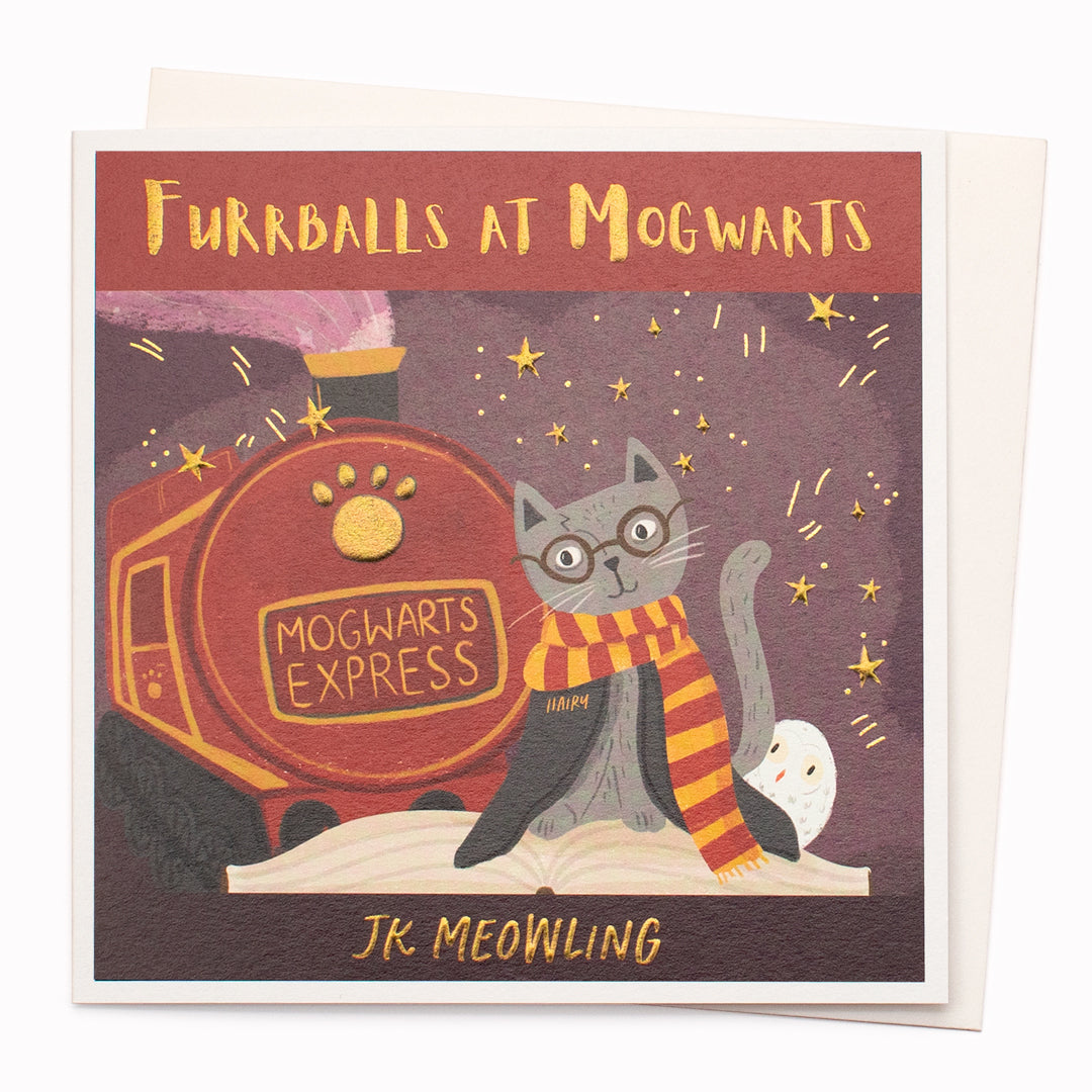 Mogwarts is a humorous card and is suitable for any occasion including birthdays, or just a note to say 'hi'!