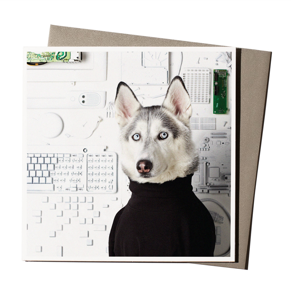 Steve Dogs | Photographic Greeting Card