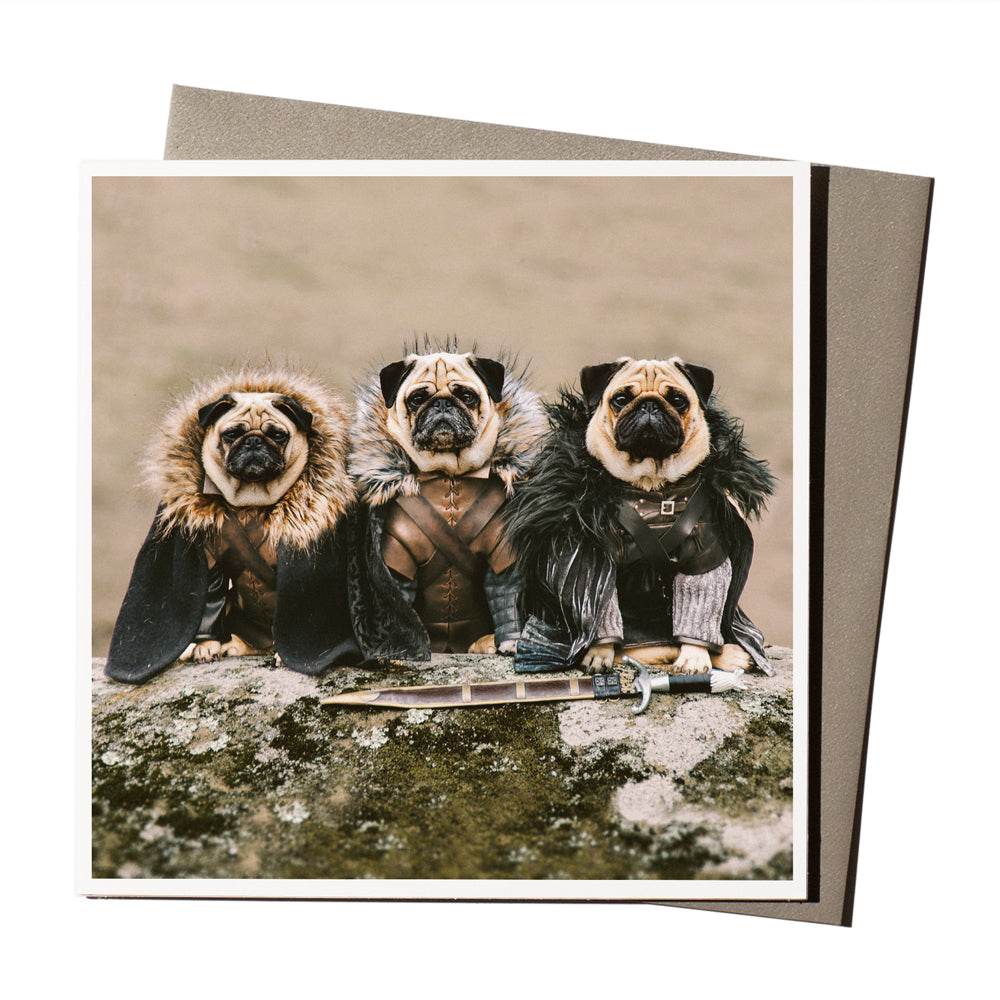 The 'Game of Bones' card is part of the 1000 Words - Slice of life licensed photography collection with a focus on animal shenanigans and the ridiculous.