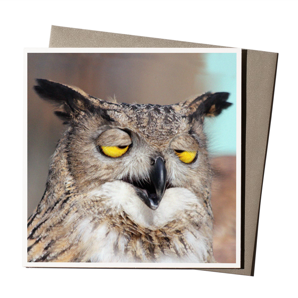 The 'High Flying Owl' card is part of the 1000 Words - Slice of life licensed photography collection with a focus on animal shenanigans and the ridiculous.