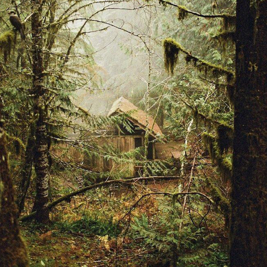 Wildside- The Enchanted Life of Hunters and Gatherers book, detail, cabin in the forest. The Enchanted Life of Hunters and Gatherers. Retreat into nature, meet mushroom pickers, collectors, and explorers; build cabins and scenic trails, create crafts, or start inspired projects with this book. This is the way to the forest.
